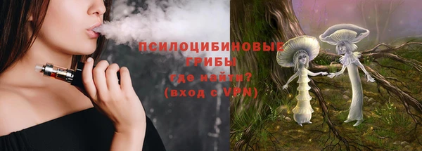 ECSTASY Белокуриха