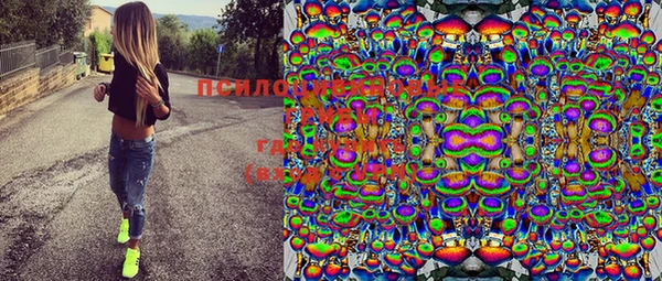 ECSTASY Белокуриха