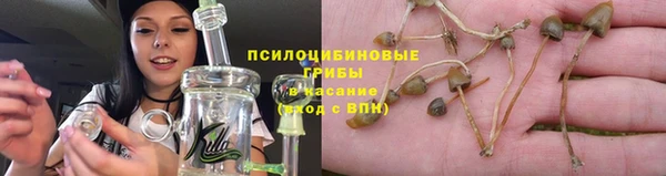 прущая мука Беломорск