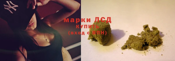 ECSTASY Белокуриха