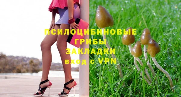 ECSTASY Белокуриха